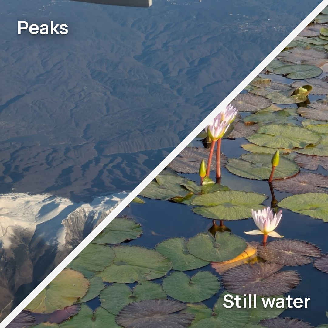 Square collage of two photographs split along a diagonal, a mountain scene above and water lilies below.