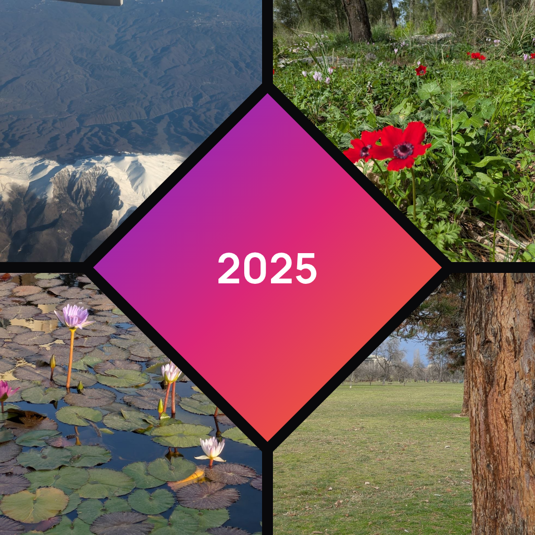 Square collage with four corner photographs around a center diamond panel reading 2025.
