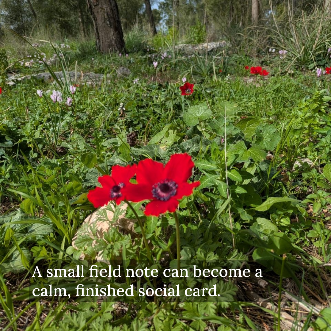 Square Pro editorial card with white text in a translucent panel over a forest flower photograph.