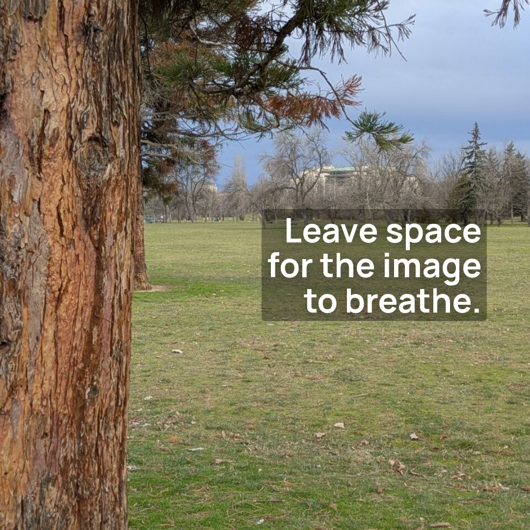 Square Pro card with right aligned white text in a translucent panel over a mirrored park tree photograph.