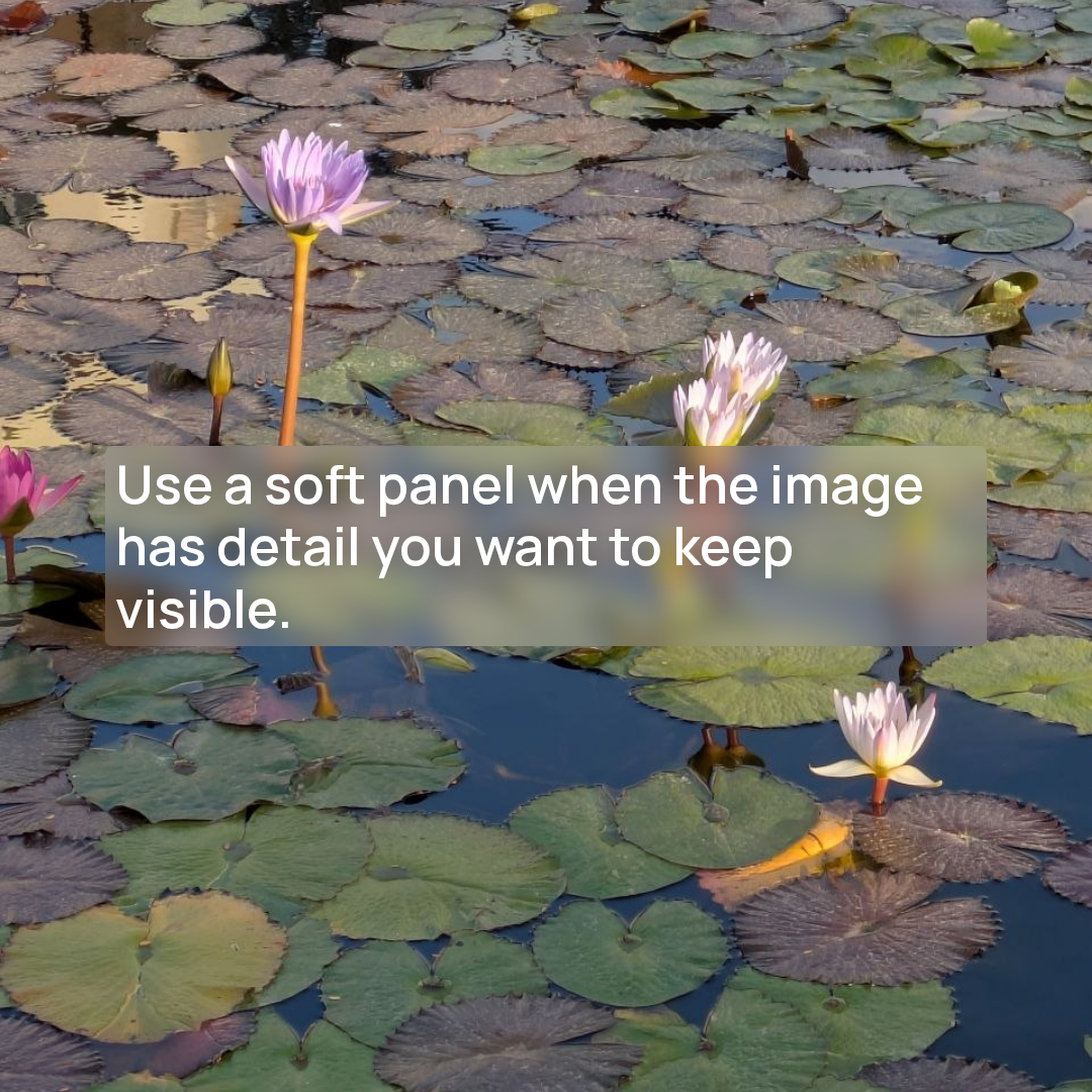 Square Pro card with a frosted text panel over a water lilies photograph.